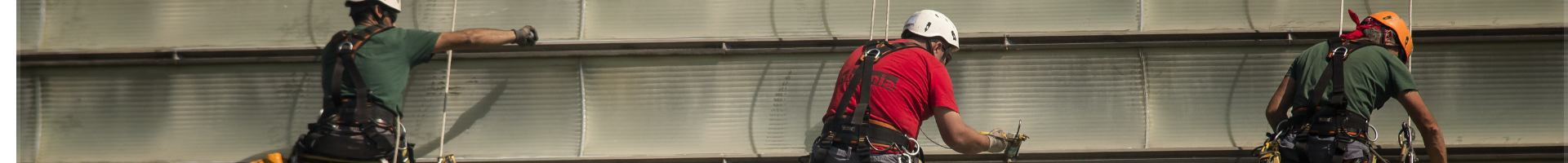 Elementos de protección personal Caran