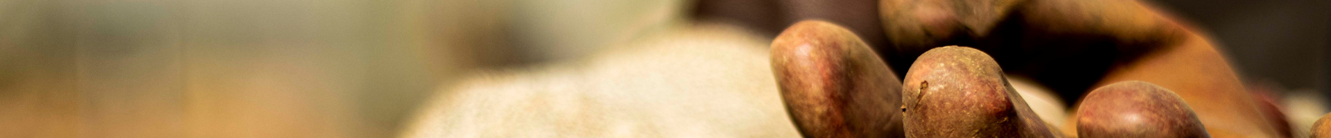 Elementos de protección personal Salisbury